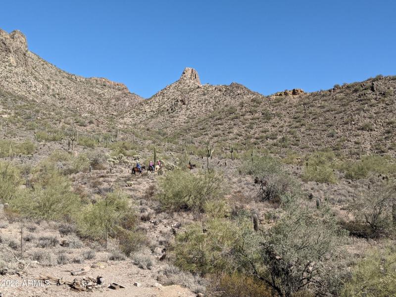 PXL_20210204_194552540