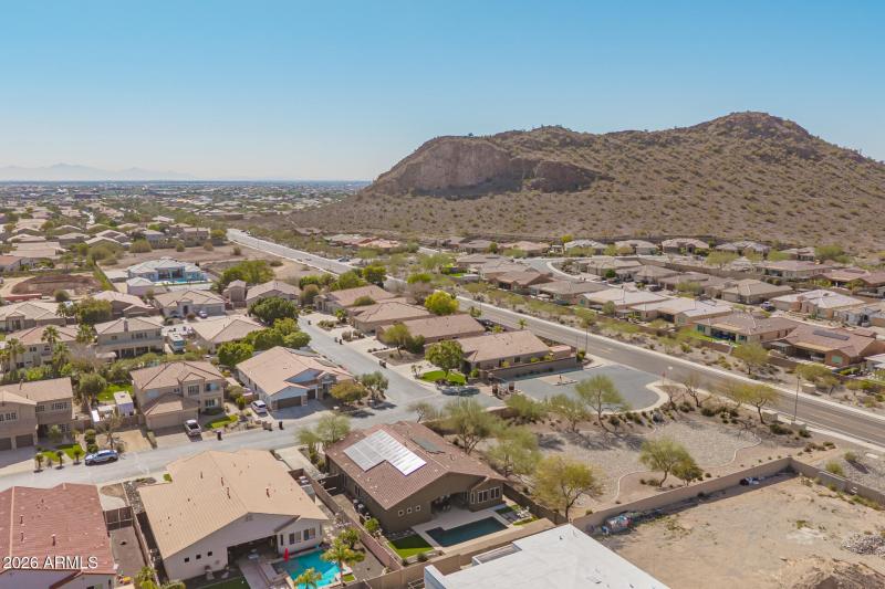 12 - Hedge Hog Drone