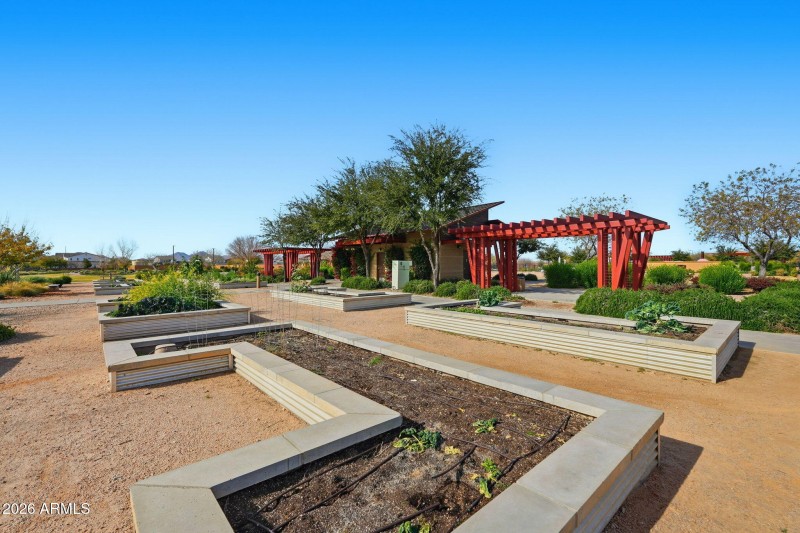 community garden