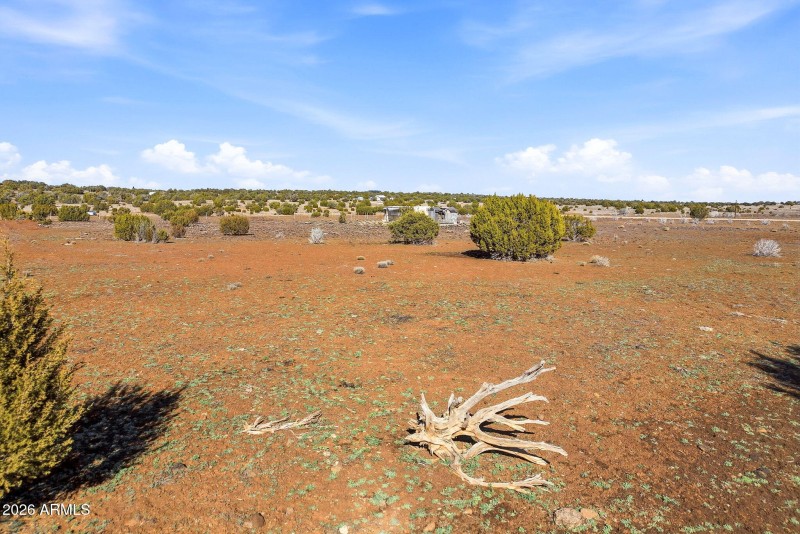 CR8209Parcels-ConchoAZ-2