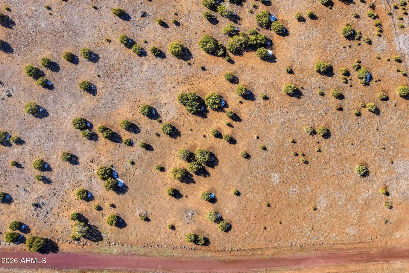 CR8209Parcels-ConchoAZ-8