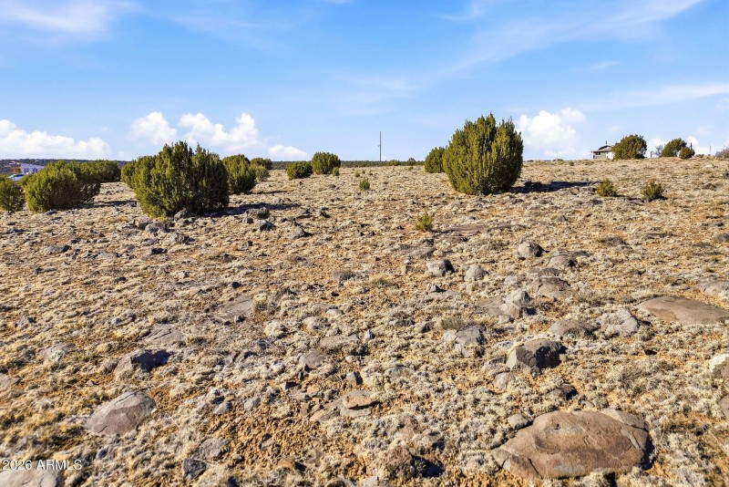 CR8209Parcels-ConchoAZ-18