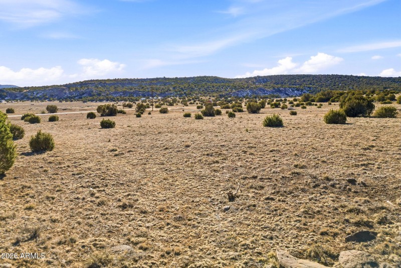 CR8209Parcels-ConchoAZ-20