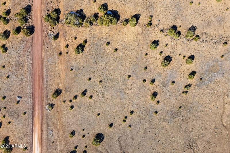 CR8209Parcels-ConchoAZ-22