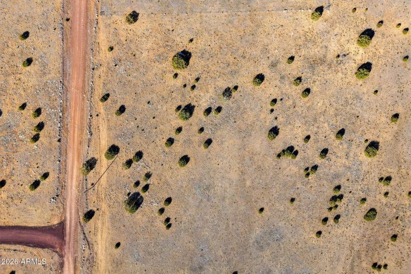 CR8209Parcels-ConchoAZ-23