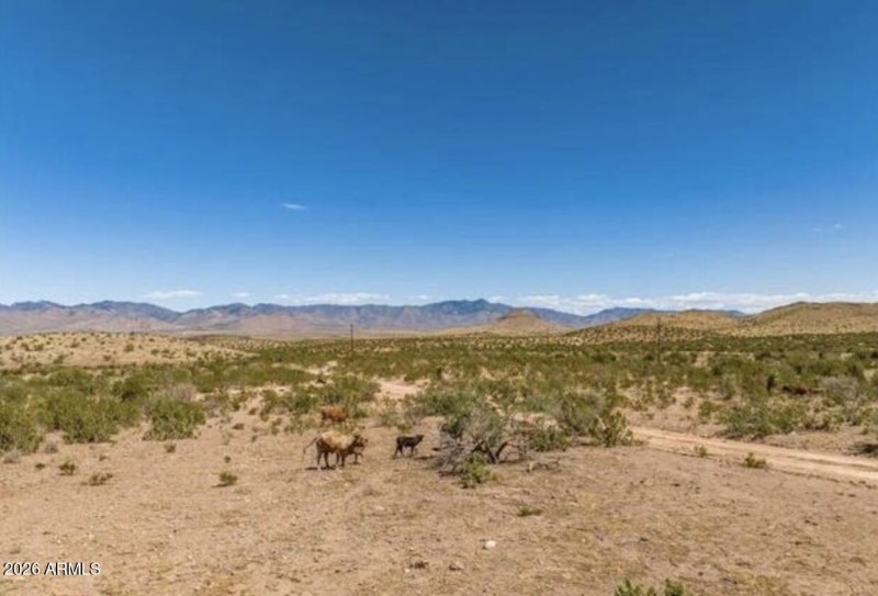 Screenshot 2026-02-04 at 1.49.35PM