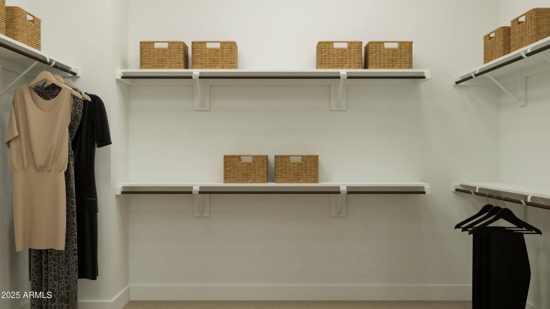 Owner's Walk in Closet