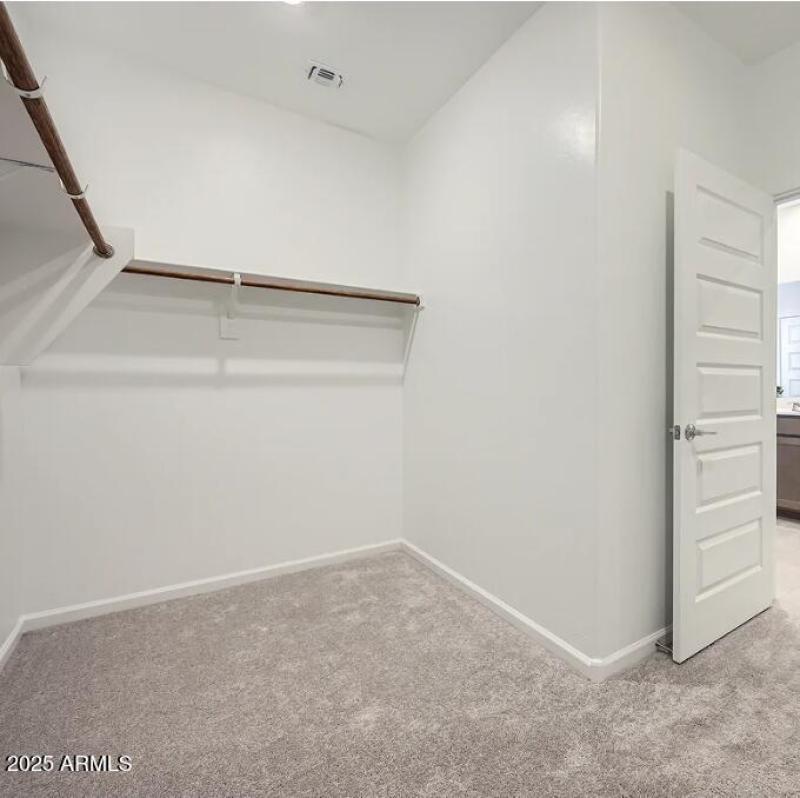 Owner's Walk in Closet