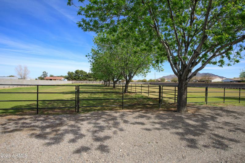 15218 E San Tan Blvd-6