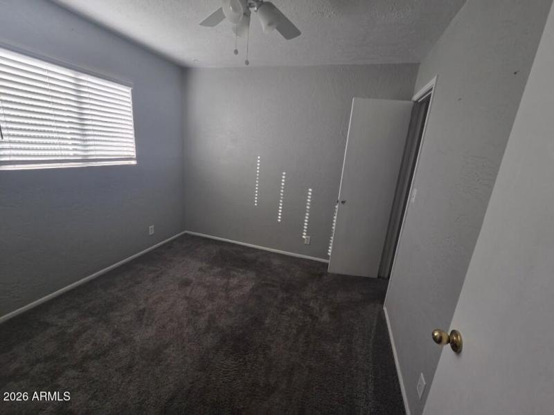 20260130_160011 (Medium)