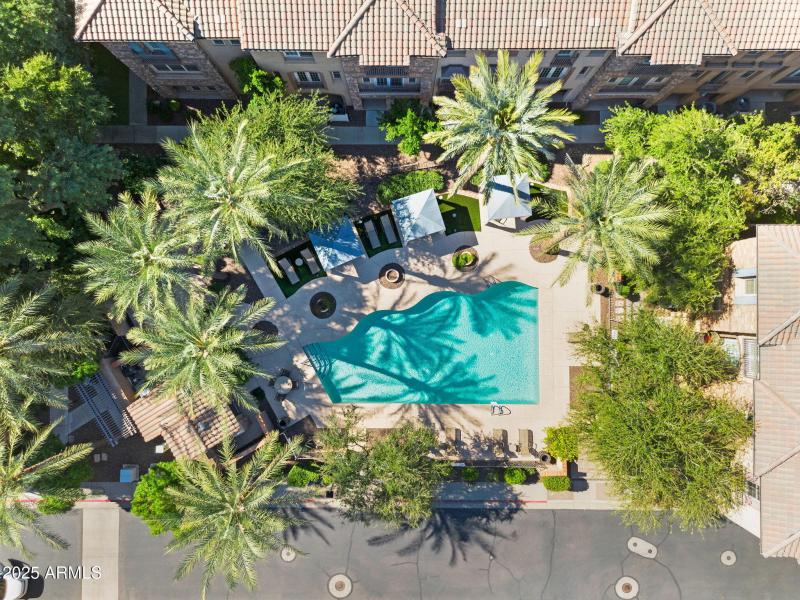Resort-Style Pool Courtyard