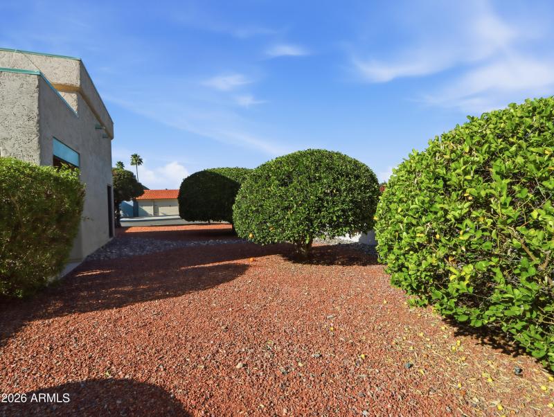 BACK 1 OF 2 - FRUIT TREES!