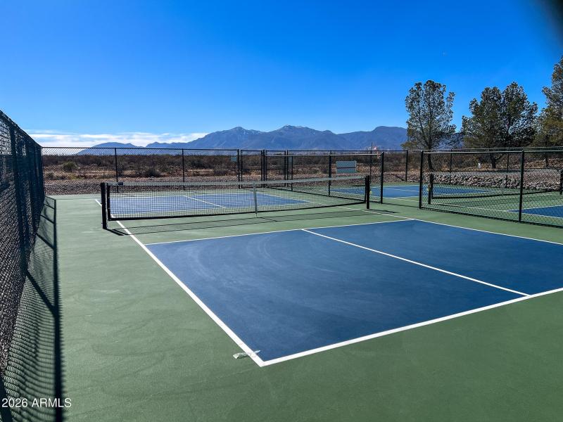 Pickleball Court