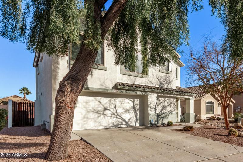 Perfect Neighborhood In Surprise