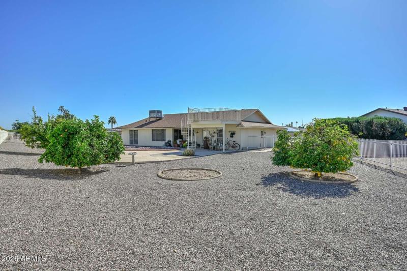 Backyard-Citrus Trees