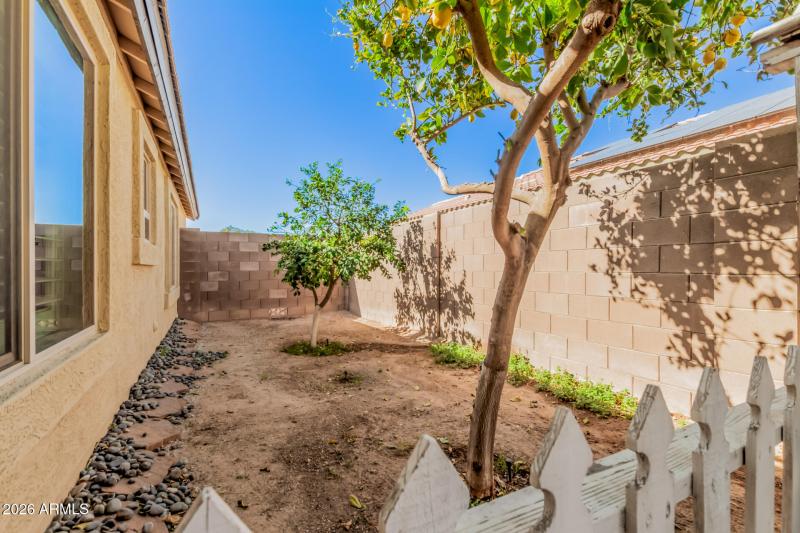 lemon and grapefruit