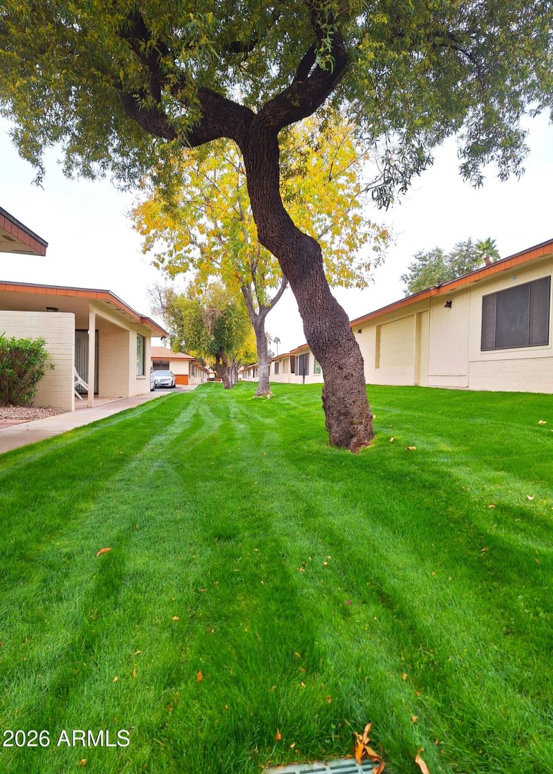 20250107_143237.jpg1