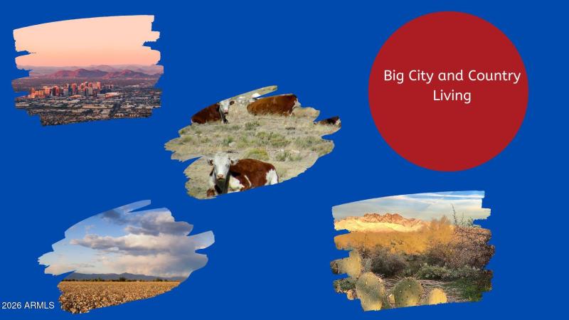 Live the Lifestyle Arizona offers