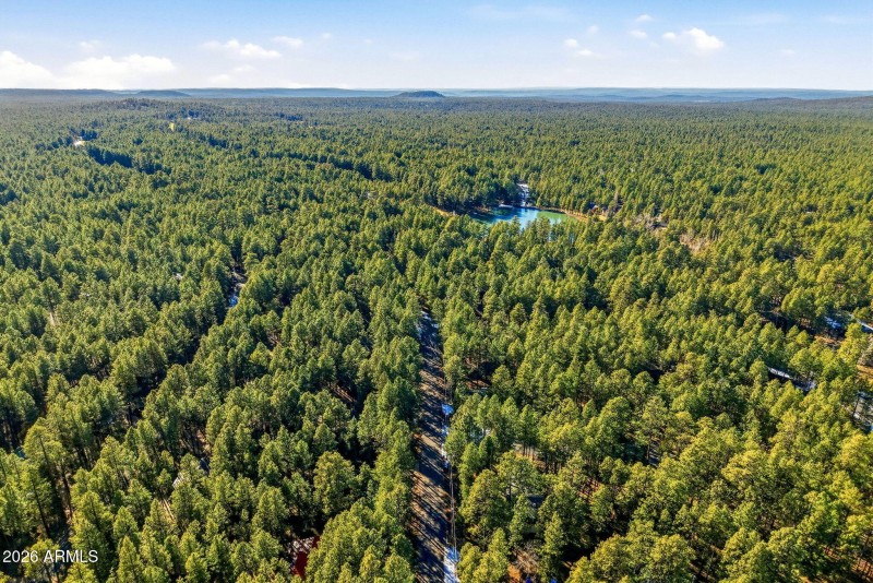 8574EastLn-Pinetop-AZ-44