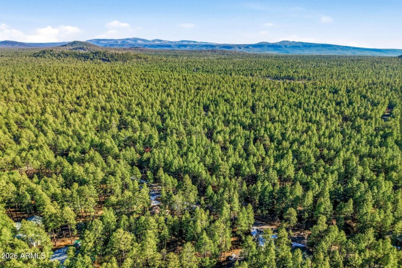 8574EastLn-Pinetop-AZ-45