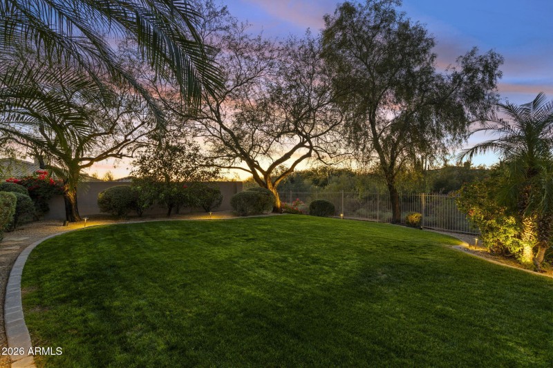 Lush grass area in backyard