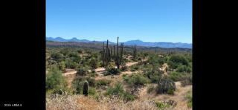 IMG_8921_1770328183022