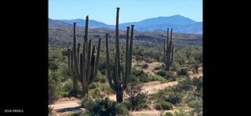 IMG_8922_1770328183008