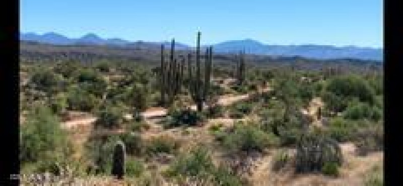 IMG_8929_1770328182971