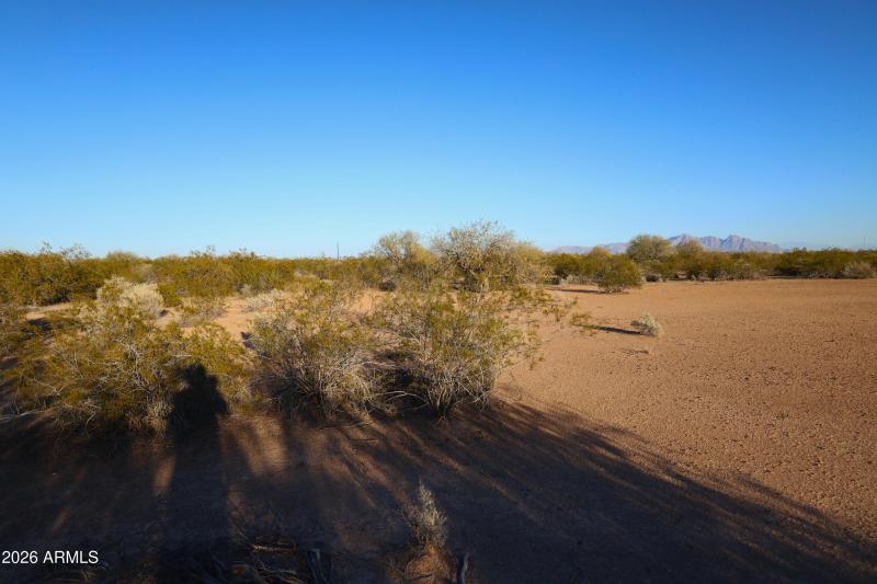 Ground Level Picture