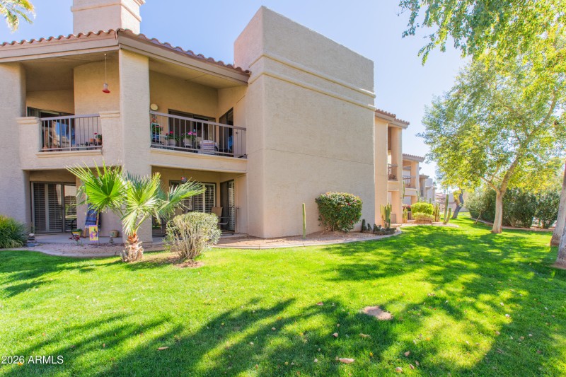 Park-Like Backyard Setting