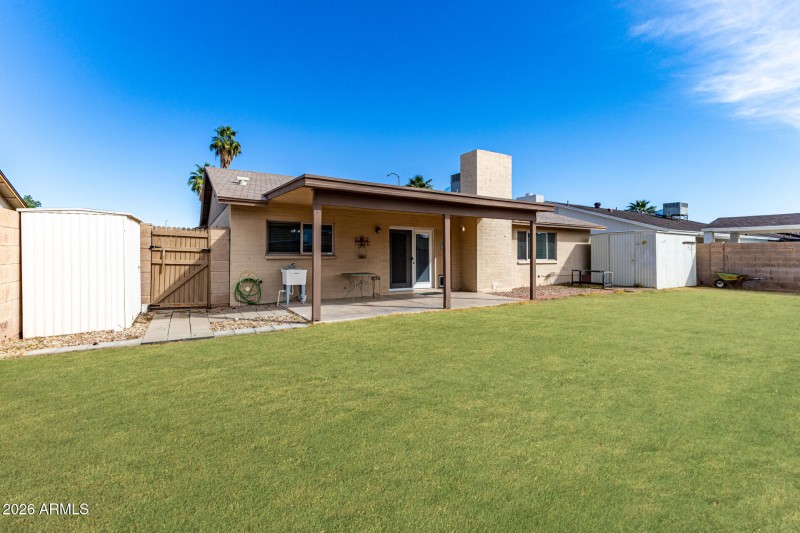 Backyard - when grass was present