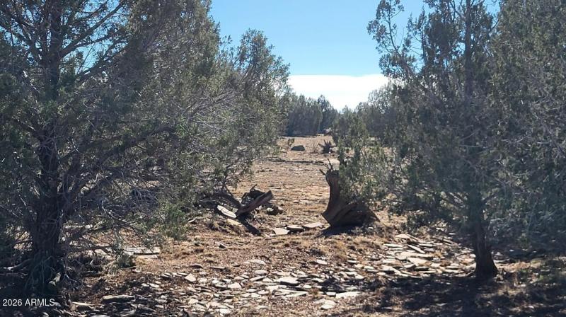 4afc6a95-ef34-46b1-ab11-48068bddc4dd