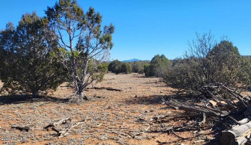 70a4ba2c-97be-4220-938e-291a68f2b6d2