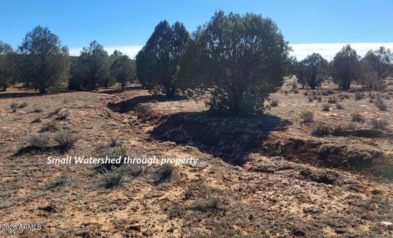 70c5da73-67c4-459f-995a-f01beac3f975