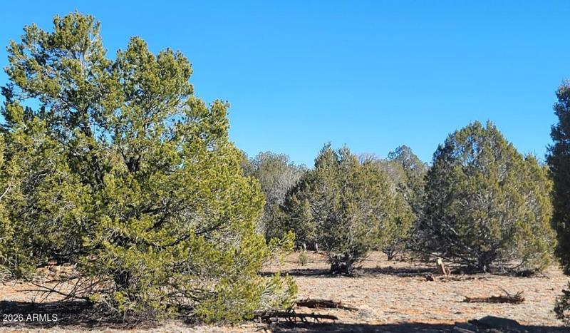 acfae14b-c267-47e2-84b4-cf61006d0170