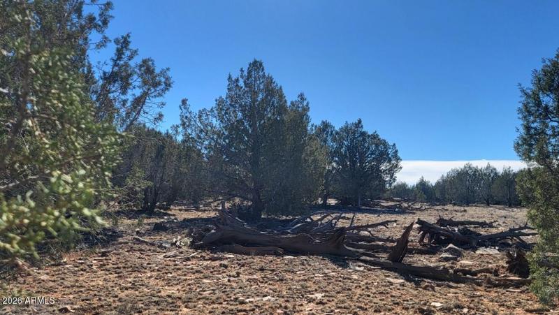 b4df129b-f7f5-4683-b257-733dd16448be