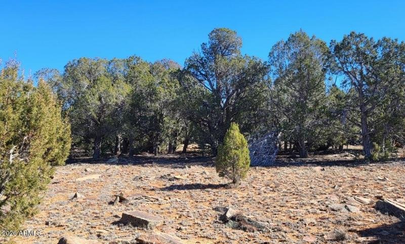 ba442138-2a4a-46eb-abf5-ab8d24ce40ce