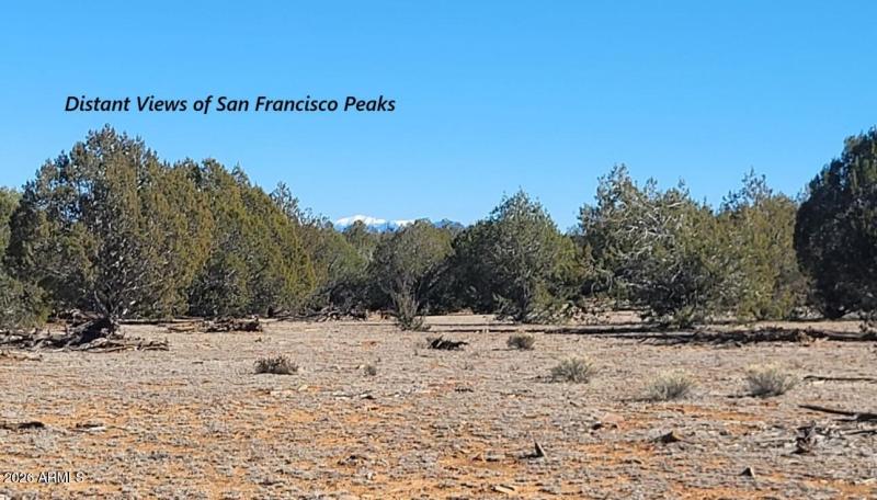 dd7e099f-5d33-49bf-bb03-74dc35908cc6