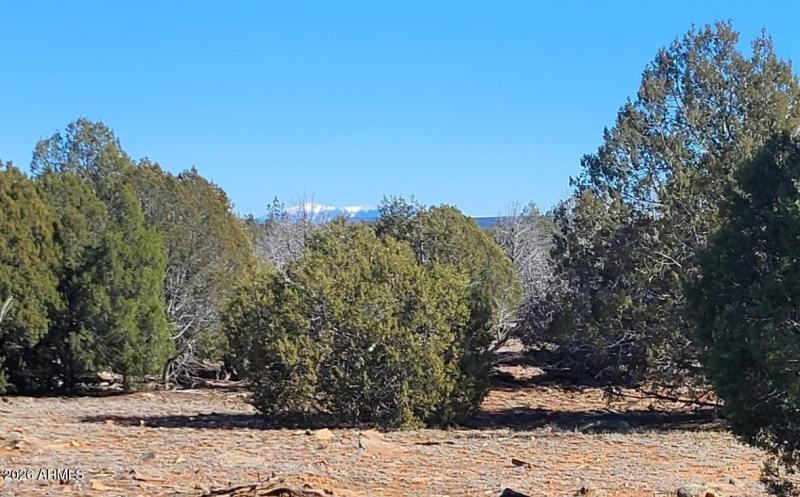 f5bacf70-507a-429b-9b9b-96272b779847