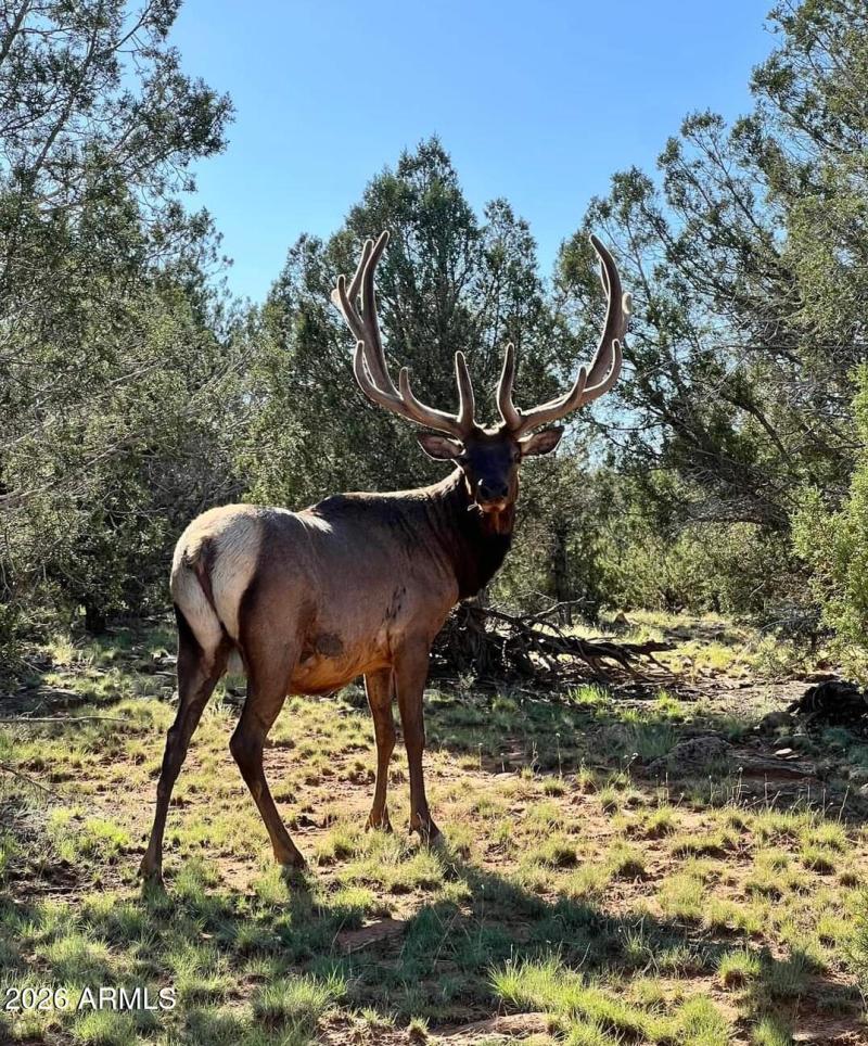 FB_IMG_1720067604767