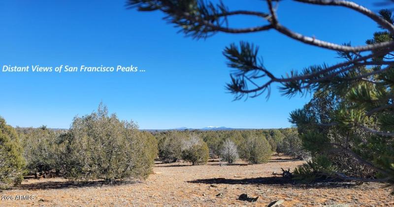 03aaa216-312f-4e72-8767-a86a1e7aeed6