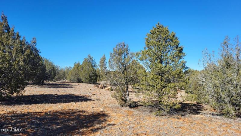 00eed6a3-c8e0-4def-b5ee-6d8d7e2db01c