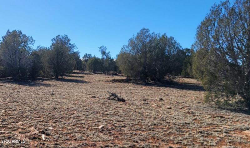 2cf53529-1364-465a-a37c-d524bd3e21be