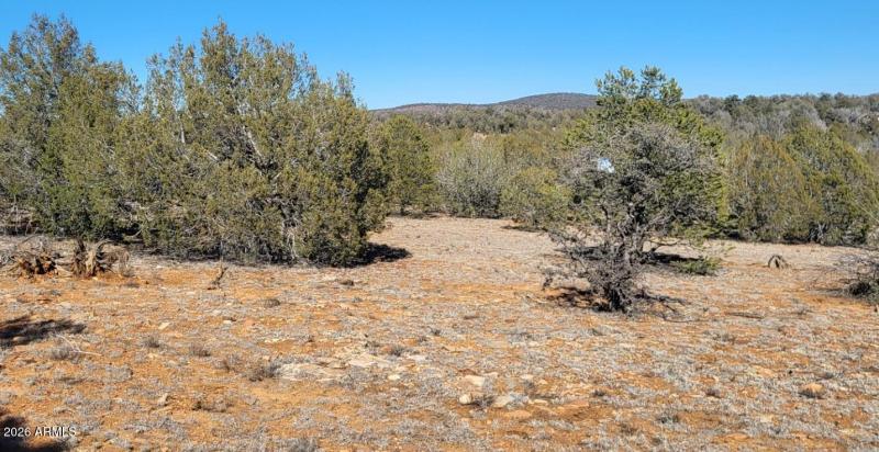 3e62426d-459f-41c4-a025-f89b75365010