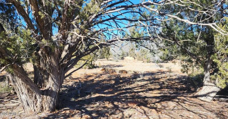 96ff0513-8cb8-4a82-8527-c2e377f25043