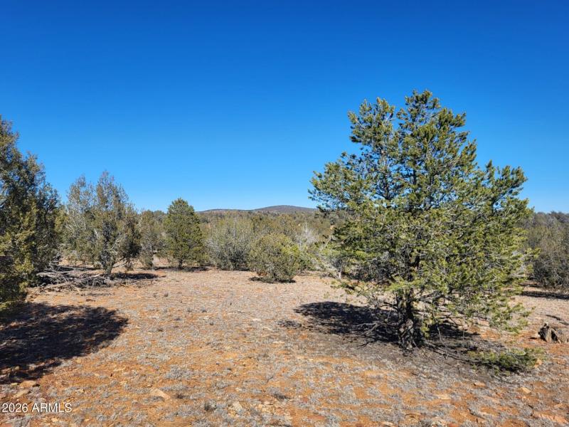 0696d7f2-5d99-4ae0-84eb-8e75cac22975