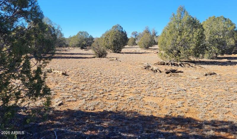 815a58ba-fede-4275-a638-cf07b04e0079