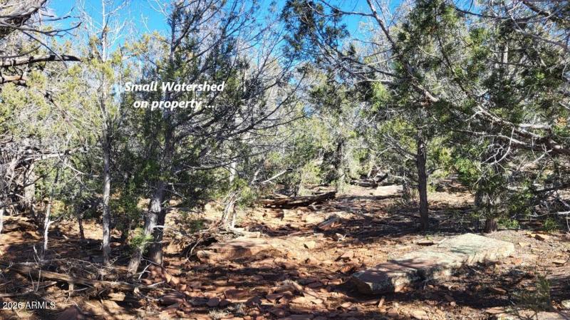 6233d4b5-50d6-4694-96c1-d99e2538d094