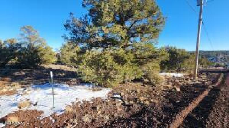 20260206030202517014000000