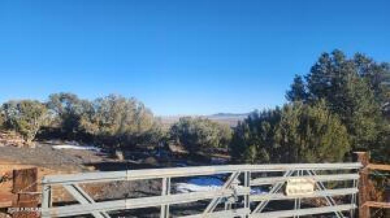 20260206030208101276000000